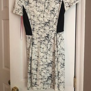 Catherine Malandrino Dresses - Catherine Malandrino skater dress Catherine Malandrino Dresses - Catherine Malandrino skater dress
